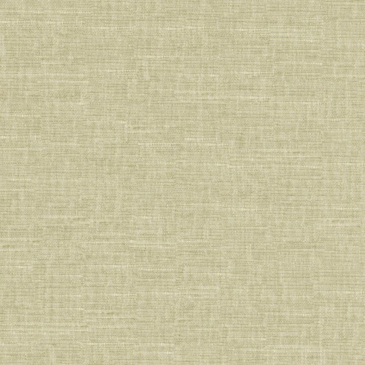 Tambo # 518 Matcha by Maxwell Fabric Pure & Simple Xvii 58% COTTON
42% POLYESTER INDIA 54" - Fabric Carolina -