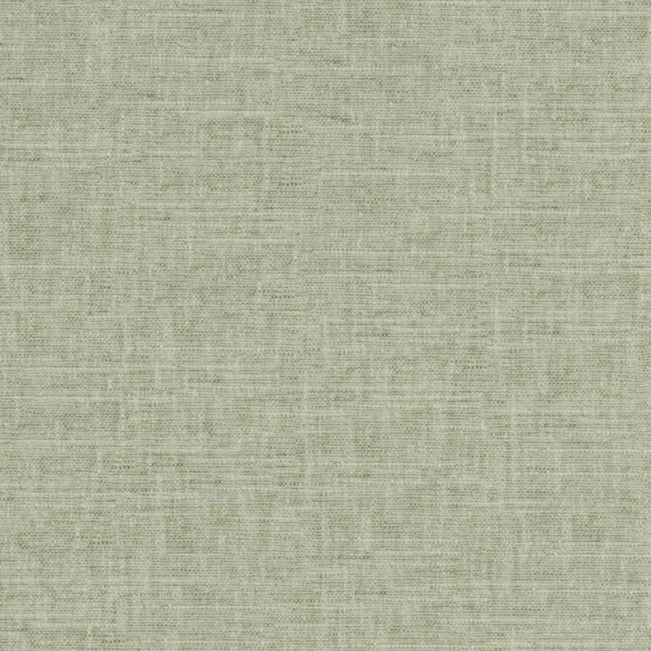 Tambo # 519 Jade by Maxwell Fabric Pure & Simple Xvii 58% COTTON
42% POLYESTER INDIA 54" - Fabric Carolina -