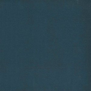 Twist Harbor by Norbar Fabric ENVICTA 100% POLYURETHANE 54 - Fabric Carolina -