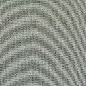 Twix Champagne by Norbar Fabric SHEER MAGIC 100% POLYESTER TURKEY 118 - Fabric Carolina -