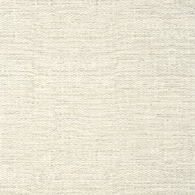 Prairie Weave Cream TWW10931 by Thibaut Wallpaper Thibaut Wallpaper Prairie Weave Cream TWW10931Wallpaper Texture Resource 7 Non-Woven Vinyl Wallpaper UNITED STATES </p><p>Repeat: V: 20 54 - Fabric Carolina -