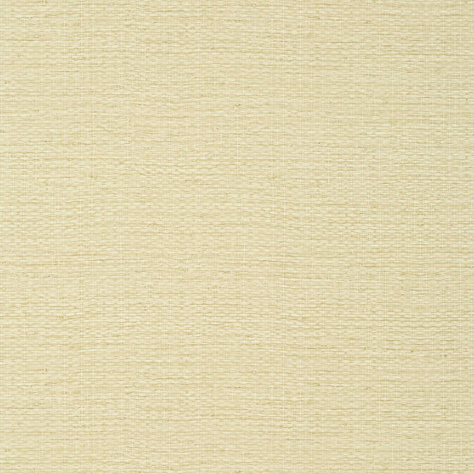 Prairie Weave Straw TWW10962 by Thibaut Wallpaper Thibaut Wallpaper Prairie Weave Straw TWW10962Wallpaper Texture Resource 7 Non-Woven Vinyl Wallpaper UNITED STATES </p><p>Repeat: V: 20 54 - Fabric Carolina -