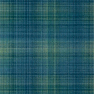 Inverness Navy and Green TWW10975 by Thibaut Wallpaper