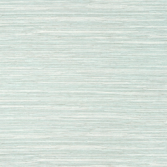 Normandy Robin's Egg TWW14553 by Thibaut Wallpaper Thibaut Wallpaper Normandy Robin's Egg TWW14553Wallpaper Texture Resource 8 Non-Woven Vinyl Wallpaper UNITED STATES </p><p>Repeat: V: 20 54 - Fabric Carolina -