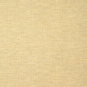 Spiro Straw TWW14564 by Thibaut Wallpaper