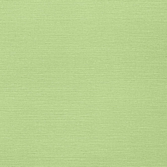 Taluk Sisal Spring TWW287 by Thibaut Wallpaper Thibaut Wallpaper Taluk Sisal Spring TWW287Wallpaper Texture Resource 6 Non-Woven Vinyl Wallpaper U.S.A. </p><p>Repeat: V: - 54 - Fabric Carolina -