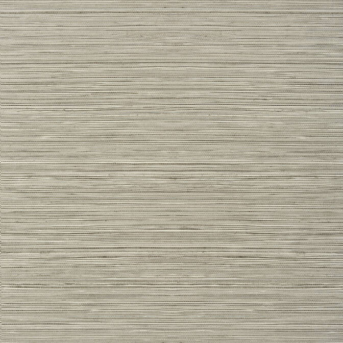 Kendari Grass Taupe TWW297 by Thibaut Wallpaper Thibaut Wallpaper Kendari Grass Taupe TWW297Wallpaper Texture Resource 6 Non-Woven Vinyl Wallpaper U.S.A. </p><p>Repeat: V: 21 54 - Fabric Carolina -