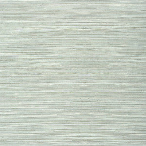 Kendari Grass Robin's Egg TWW303 by Thibaut Wallpaper