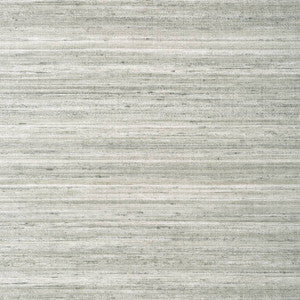 Wild Silk Charcoal on Metallic Silver TWW335 by Thibaut Wallpaper