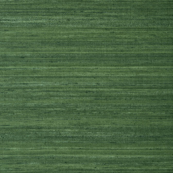 Wild Silk Emerald Green TWW343 by Thibaut Wallpaper Thibaut Wallpaper Wild Silk Emerald Green TWW343Wallpaper Texture Resource 6 Non-Woven Vinyl Wallpaper U.S.A. </p><p>Repeat: V: 21 54 - Fabric Carolina -