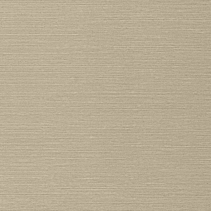 Taluk Sisal Mushroom TWW75147 by Thibaut Wallpaper Thibaut Wallpaper Taluk Sisal Mushroom TWW75147Wallpaper Texture Resource 6 Non-Woven Vinyl Wallpaper U.S.A. </p><p>Repeat: V: 21 54 - Fabric Carolina -