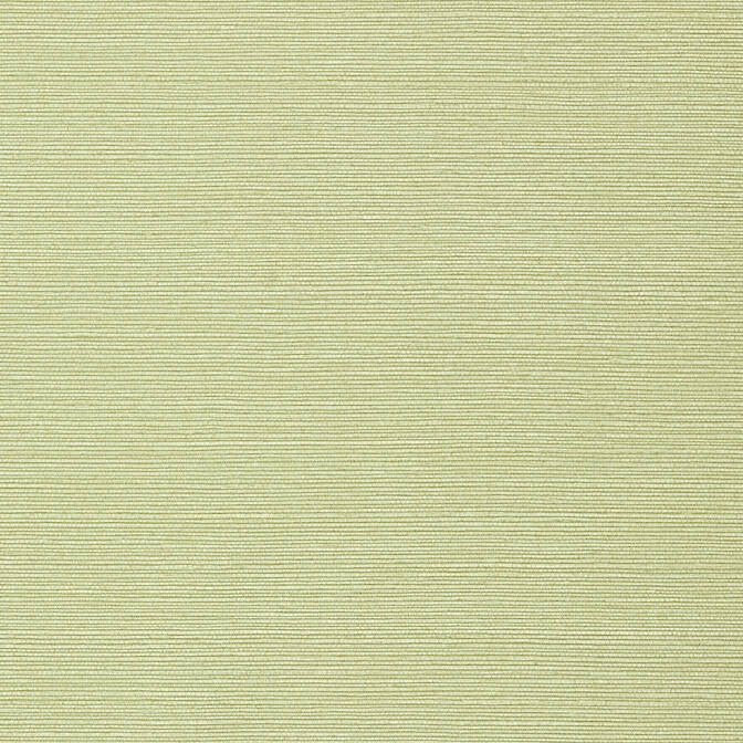 Taluk Sisal Willow TWW75153 by Thibaut Wallpaper Thibaut Wallpaper Taluk Sisal Willow TWW75153Wallpaper Texture Resource 6 Non-Woven Vinyl Wallpaper U.S.A. </p><p>Repeat: V: 21 54 - Fabric Carolina -