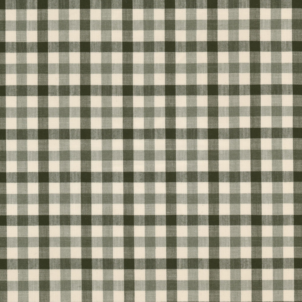Twyla 1 Dill by Stout Fabric Stout Fabric Twyla 1 DillFabric Off The Grid 75%Cot 25%Pol India </p><p>Repeat: H: 2.625, V: 0 56 in - Fabric Carolina -