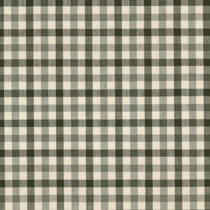 Twyla 1 Dill by Stout Fabric Stout Fabric Twyla 1 DillFabric Off The Grid 75%Cot 25%Pol India </p><p>Repeat: H: 2.625, V: 0 56 in - Fabric Carolina -
