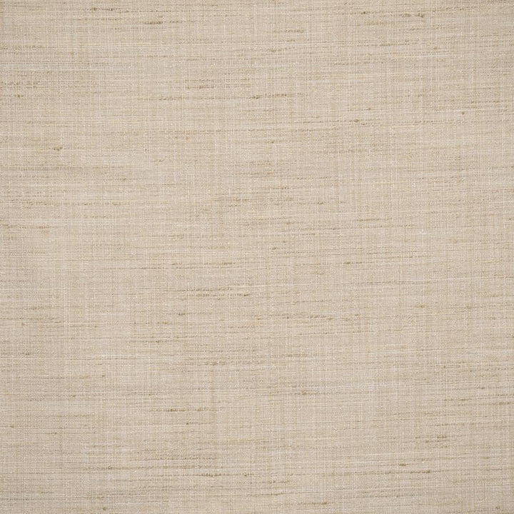 Tyrone # 638 Linen by Maxwell Fabric Color Theory-Vol.Viii Tigerseye 100% POLYESTER INDIA 54" - Fabric Carolina -