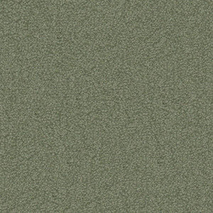 Texel # 1015 Sage by Maxwell Fabric
