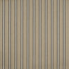 Tahoma # 734 Ink by Maxwell Fabric