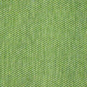 42082-0024 Tailored Cilantro by Sunbrella Fabric