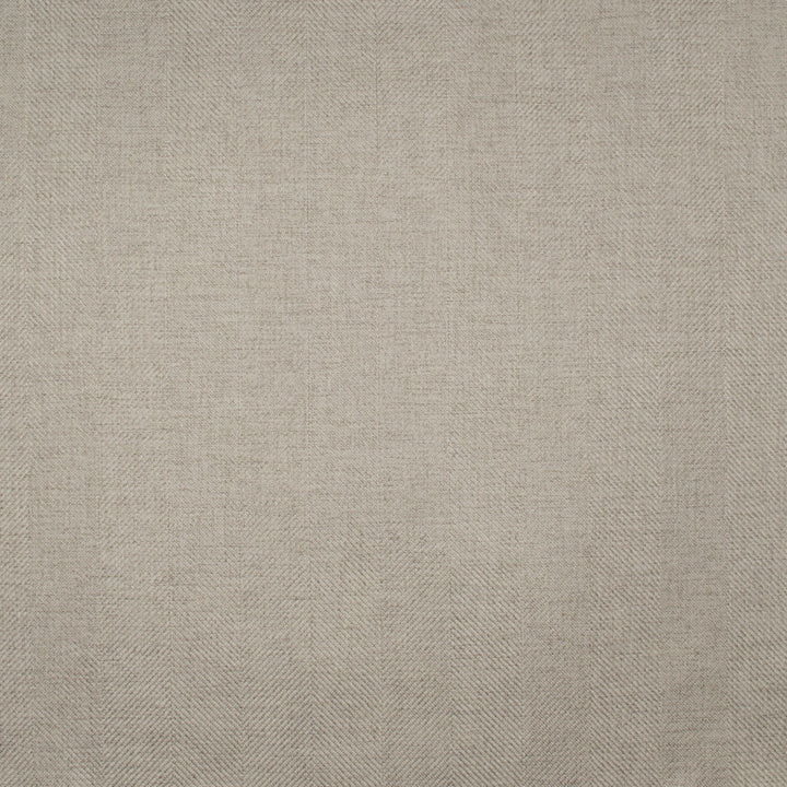 Tailored Grandeur Dove by Europatex Fabric Tailored 100% Polyester 0.00" 55.00 inches - Fabric Carolina -