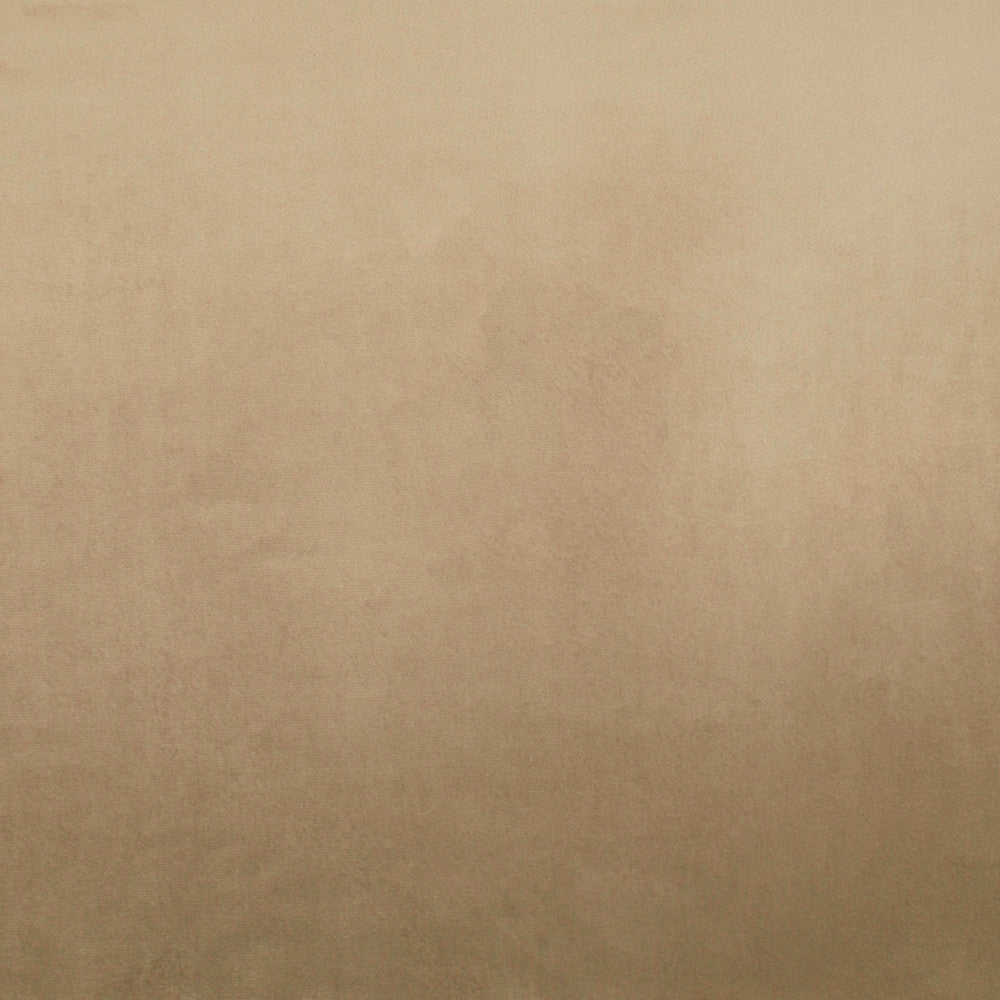 Tailored Leisure Almond by Europatex Fabric Tailored 100% Polyester 0.00" 55.00 inches - Fabric Carolina -
