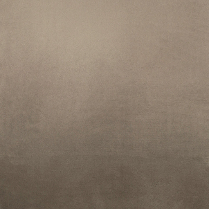 Tailored Leisure Driftwood by Europatex Fabric Tailored 100% Polyester 0.00" 55.00 inches - Fabric Carolina -