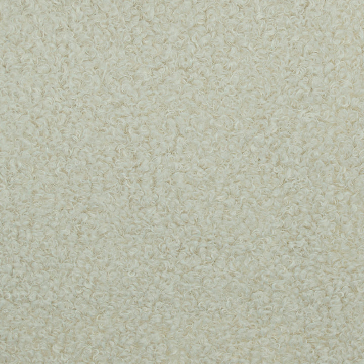 Teddy Bone by Europatex Fabric Teddy 100% Polyester 0.00" 57.00 inches - Fabric Carolina -