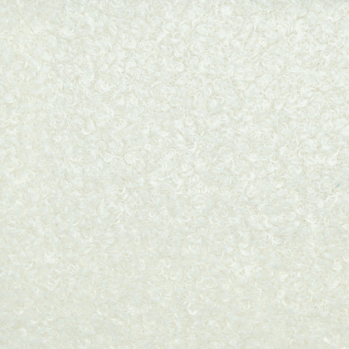 Teddy Coconut by Europatex Designer Fabric Teddy 100% Polyester 0.00" 57.00 inches - Swanky Fabrics -