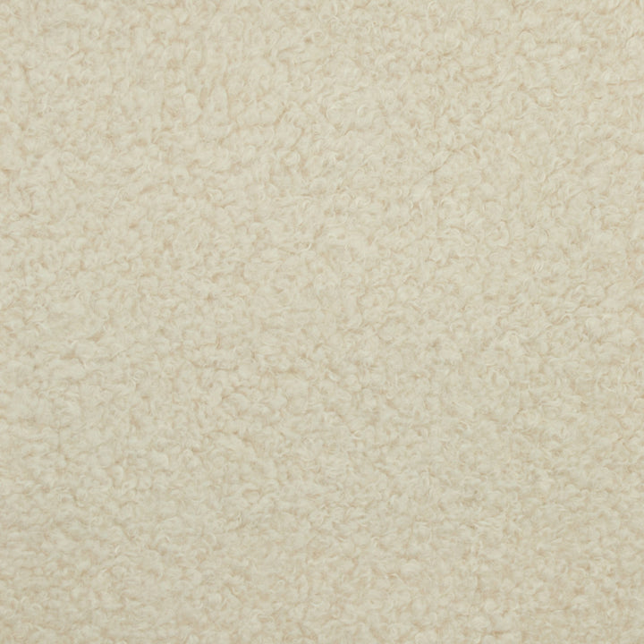 Teddy Cream by Europatex Fabric Teddy 100% Polyester 0.00" 57.00 inches - Fabric Carolina -