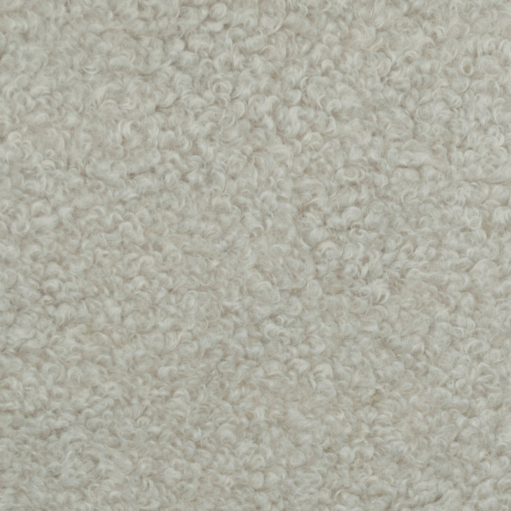 Teddy Nugget by Europatex Fabric Teddy 100% Polyester 0.00" 57.00 inches - Fabric Carolina -