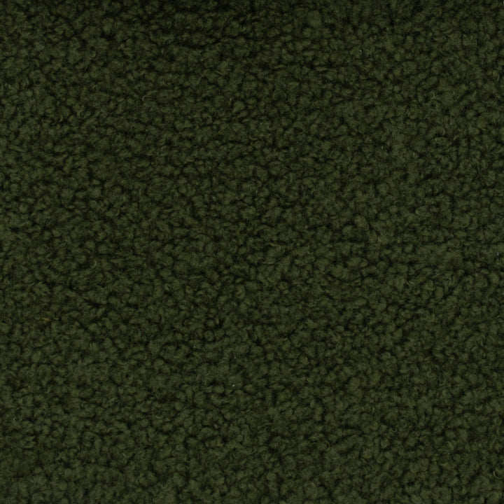 Teddy Olive by Europatex Fabric Teddy 100% Polyester 0.00" 57.00 inches - Fabric Carolina -