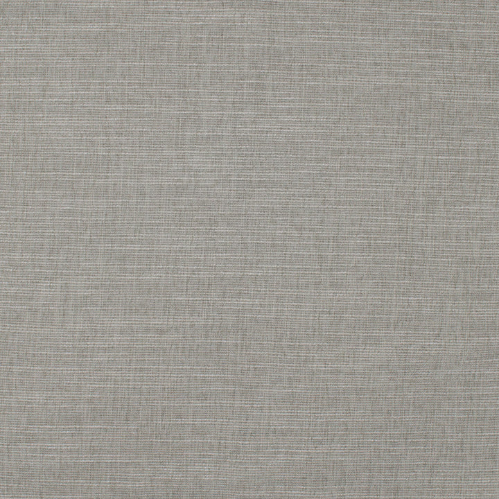 Theroy Chinchilla by Europatex Designer Fabric Theroy 65% Polyester, 35% Viscose 0.00" 55.00 inches - Swanky Fabrics -