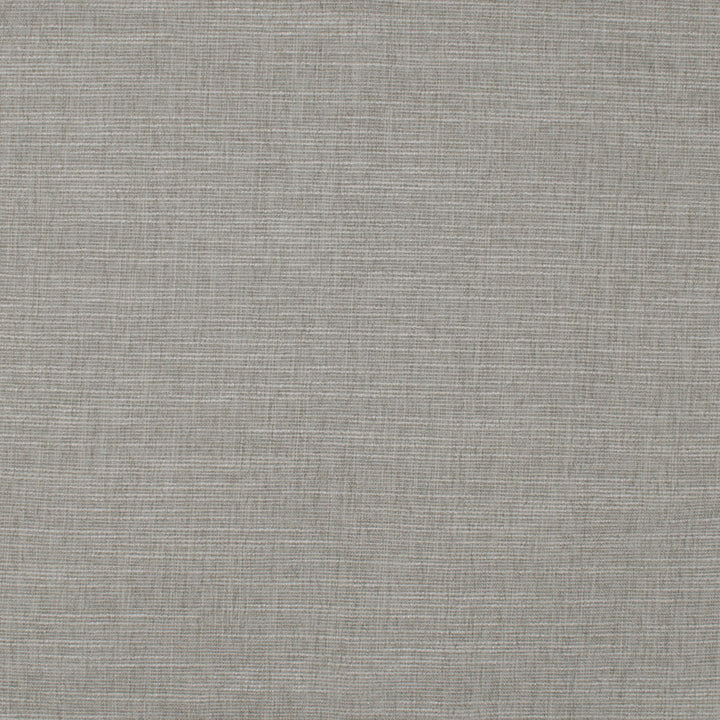 Theroy Chinchilla by Europatex Fabric Theroy 65% Polyester, 35% Viscose 0.00" 55.00 inches - Fabric Carolina -