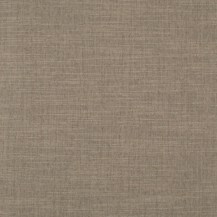 Theroy Mushroom by Europatex Fabric Theroy 65% Polyester, 35% Viscose 0.00" 55.00 inches - Fabric Carolina -