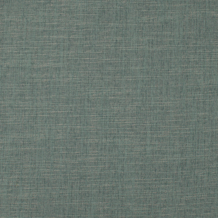 Theroy Rosemary by Europatex Fabric Theroy 65% Polyester, 35% Viscose 0.00" 55.00 inches - Fabric Carolina -