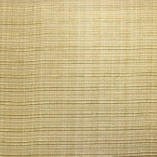 Emperor THRAX Col. 2630 by Europatex Fabric Emperor 50% Polyester / 50% Viscose China See Sample Horizontal: N/A and Vertical: N/A 56.00 inches  - Fabric Carolina -