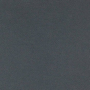Tolstoy Asphalt by Nassimi Fabric