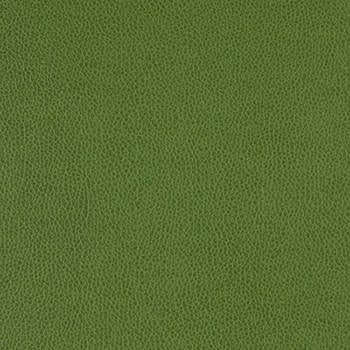Tolstoy Celtic WTL-003 by Burch Fabric our website for purchase 100% Polyurethane USA or Asia Water-based cleaning agents and foam may be used for cleaning. This fabric may also be cleaned with mild, water-free solvents. Cleaning by a professional cleaning service is recommended. Horizontal: - and Vertical: - 54" - Fabric Carolina -