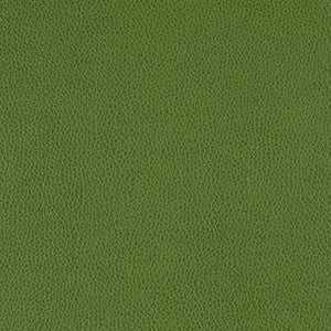 Tolstoy Celtic by Nassimi Fabric
