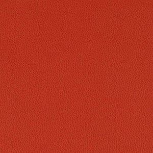 Tolstoy Crimson by Nassimi Fabric