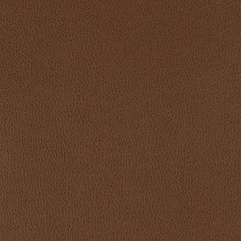 Tolstoy Earth WTL-005 by Nassimi Fabric See sample 100% Polyurethane USA or Imported Water-based cleaning agents and foam may be used for cleaning. Cleaning by a professional cleaning service is recommended. </p><p>Repeat: Horizontal: and Vertical: 54" - Fabric Carolina -