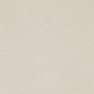 Tolstoy Feathers by Nassimi Fabric