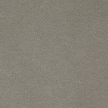 Tolstoy Flintstone WTL-007 by Nassimi Fabric See sample 100% Polyurethane USA or Imported Water-based cleaning agents and foam may be used for cleaning. Cleaning by a professional cleaning service is recommended. 54 - Fabric Carolina -