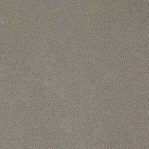 Tolstoy Flintstone by Nassimi Fabric
