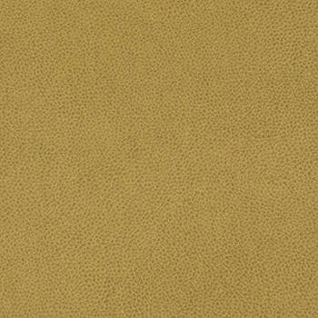 Tolstoy Hazel WTL-009 by Nassimi Fabric See sample 100% Polyurethane USA or Imported Water-based cleaning agents and foam may be used for cleaning. Cleaning by a professional cleaning service is recommended. </p><p>Repeat: Horizontal: and Vertical: 54" - Fabric Carolina -