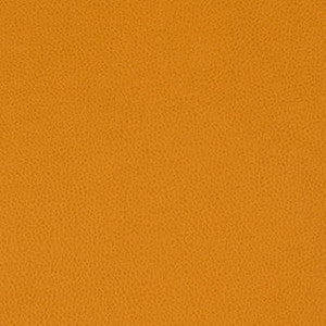 Tolstoy Kumquat by Nassimi Fabric