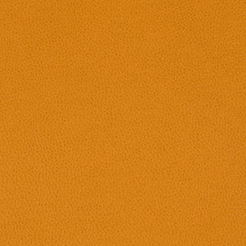 Tolstoy Kumquat WTL-010 by Nassimi Fabric See sample 100% Polyurethane USA or Imported Water-based cleaning agents and foam may be used for cleaning. Cleaning by a professional cleaning service is recommended. 54 - Fabric Carolina -