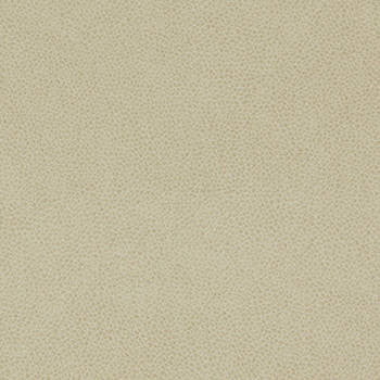 Tolstoy Parchment WTL-011 by Nassimi Fabric See sample 100% Polyurethane USA or Imported Water-based cleaning agents and foam may be used for cleaning. Cleaning by a professional cleaning service is recommended. 54 - Fabric Carolina -