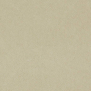 Tolstoy Parchment by Nassimi Fabric