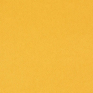 Tolstoy Yellow Pepper by Nassimi Fabric