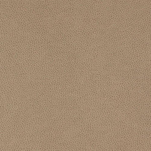 Tolstoy Quarry by Nassimi Fabric